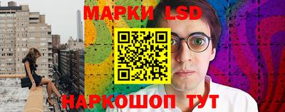 сатива Будённовск
